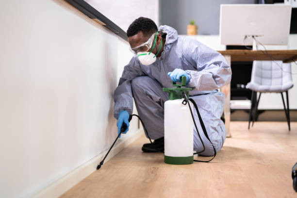 Best Bed Bug Extermination  in Mansfield, LA